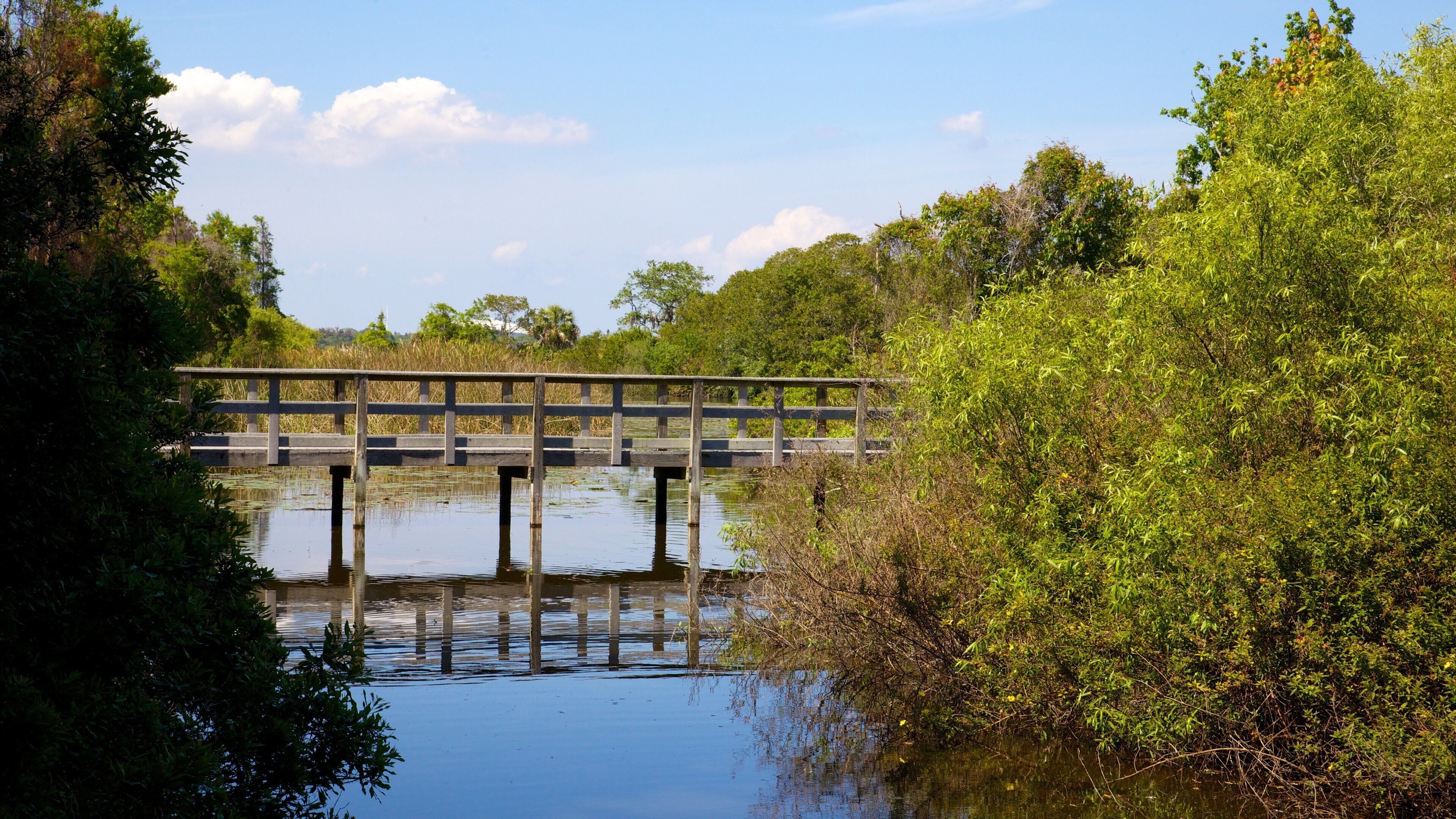 Boyd Hill Nature Park which includes a garden, a bridge and a river or creek
