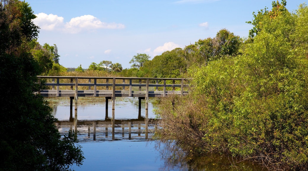 Boyd Hill Nature Park which includes a garden, a bridge and a river or creek