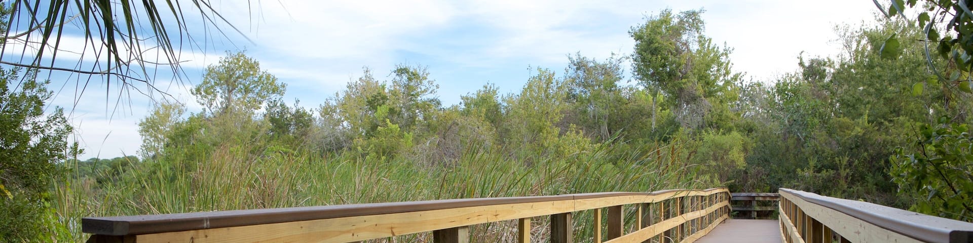 Boyd Hill Nature Park showing a bridge