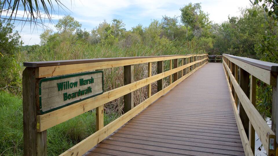 A wooden boardwalk labeled "Willow Marsh Boardwalk" surrounded by dense vegetation.