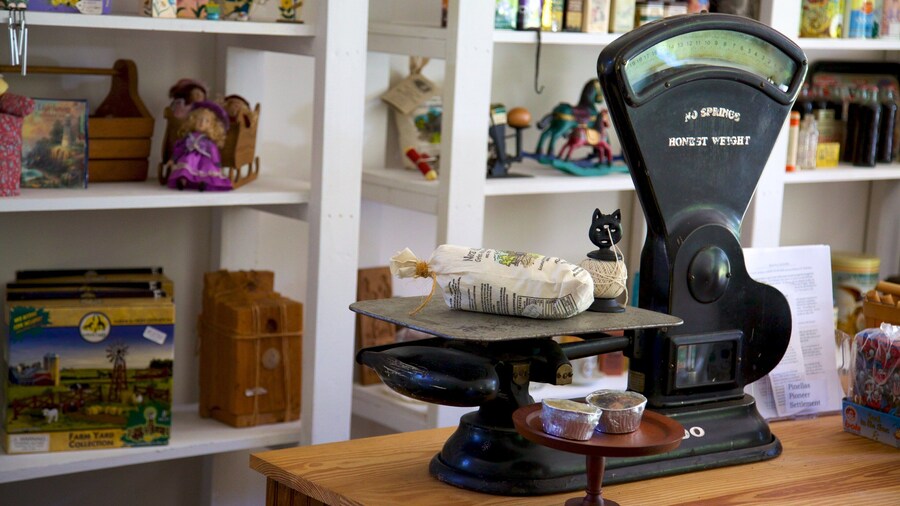 Boyd Hill Nature Park mostrando vistas interiores