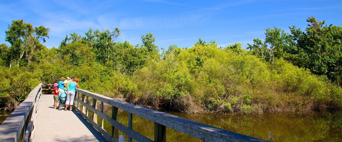 Boyd Hill Nature Park que incluye un jardín, un puente y un lago o laguna