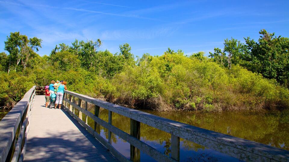 A wooden boardwalk over a calm river surrounded by dense green foliage.