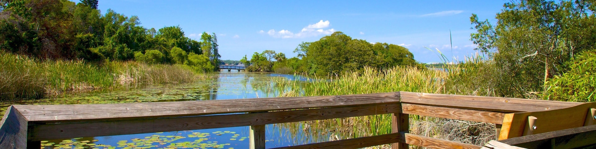 Boyd Hill Nature Park showing views and a park