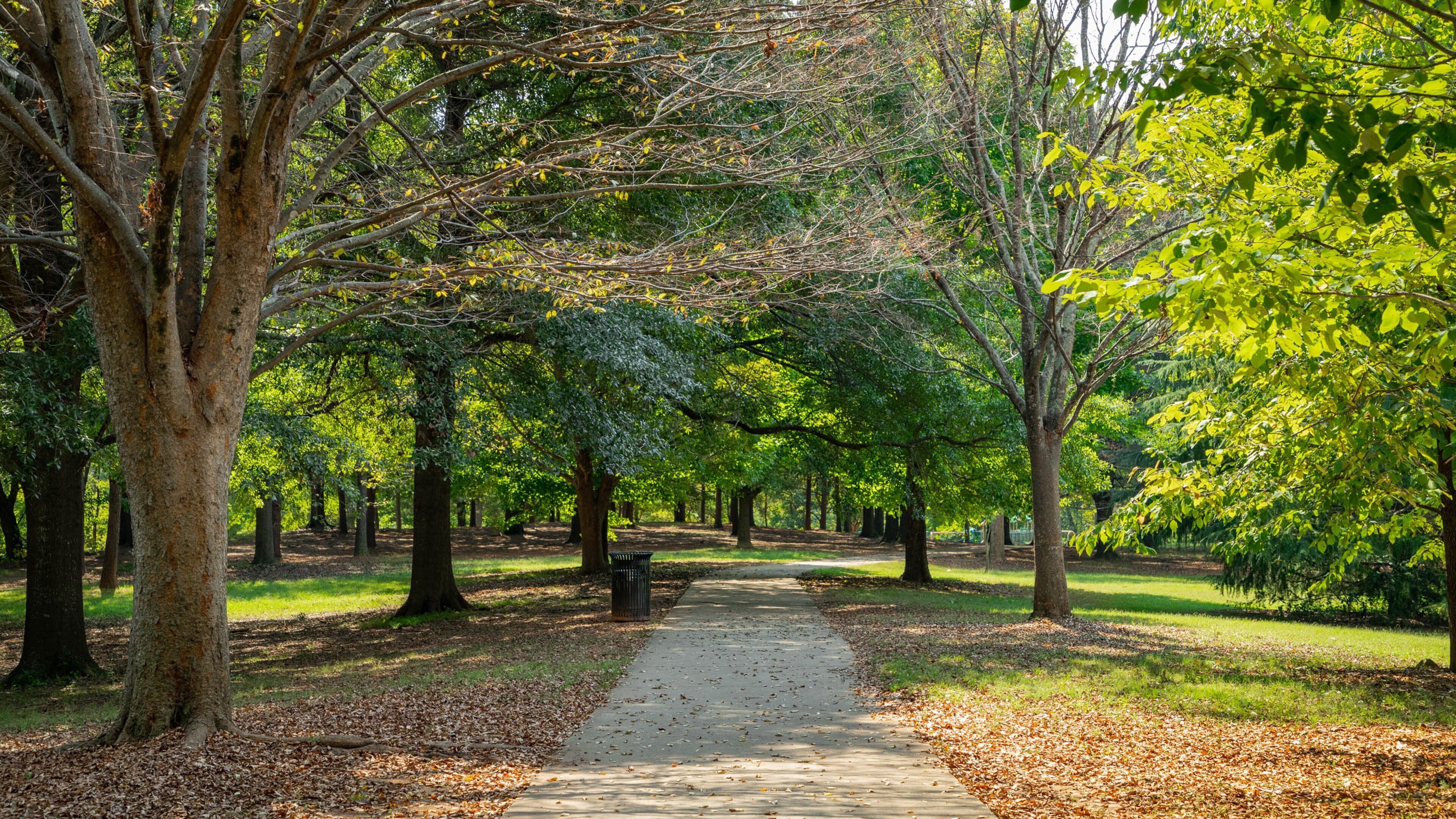 Grant Park showing fall colors and a park