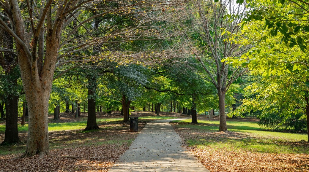 Grant Park showing fall colors and a park