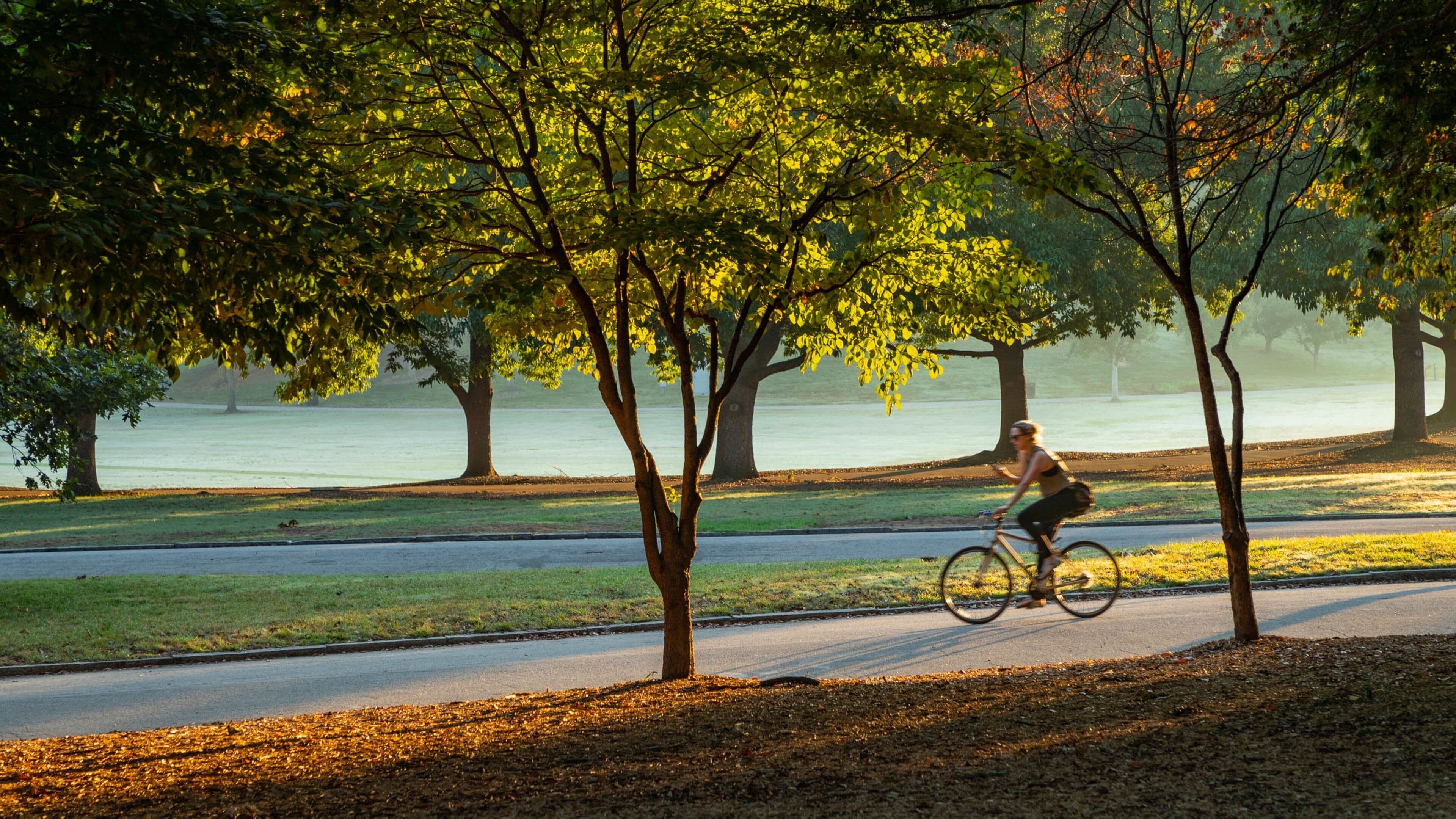Piedmont Park which includes cycling, a park and a sunset