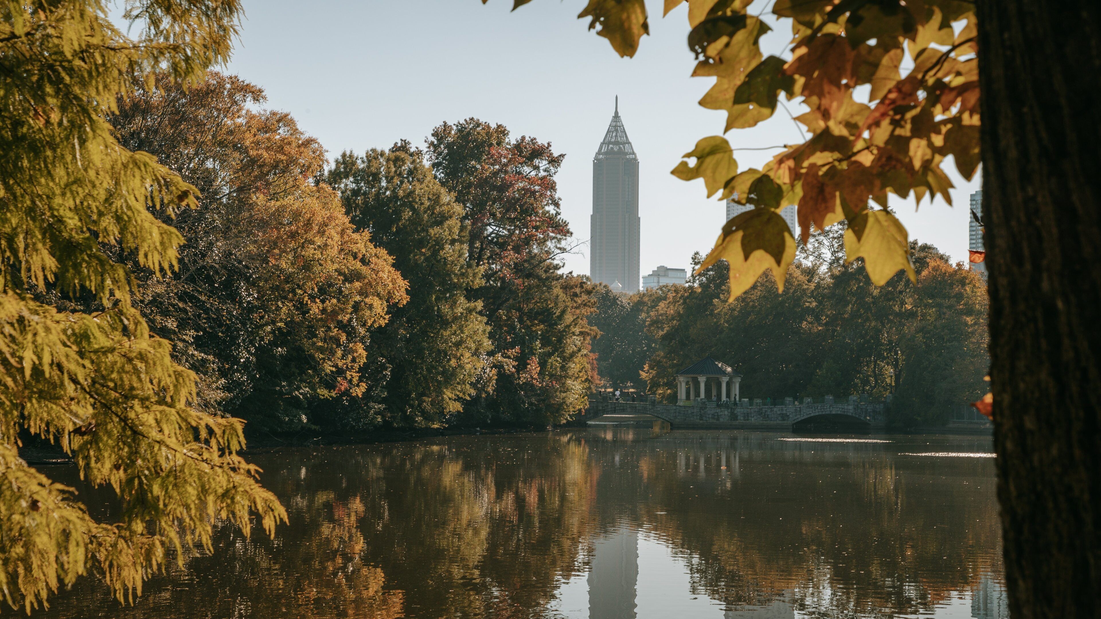 Piedmont Park featuring a pond