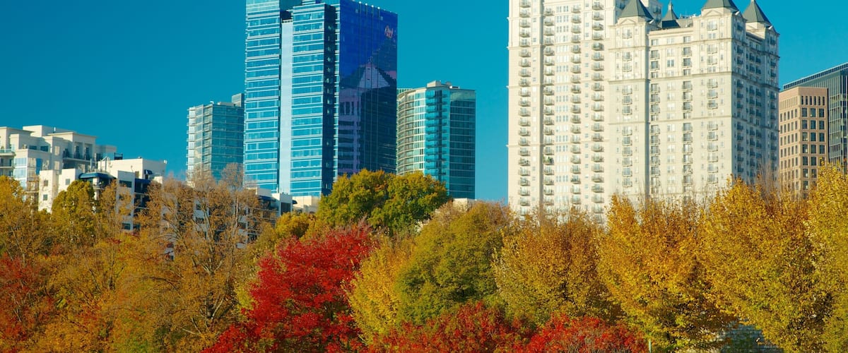 Piedmont Park which includes fall colors, a garden and a high rise building