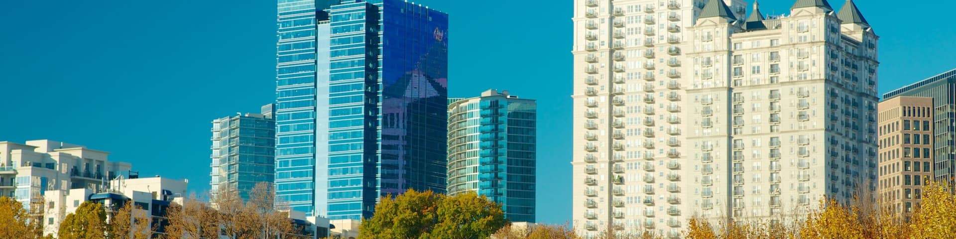 Piedmont Park showing a city, a skyscraper and landscape views