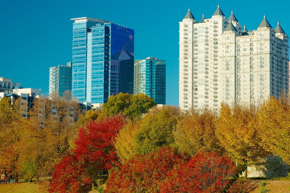 A cityscape with modern high-rise buildings and autumn foliage.