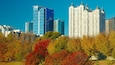 Piedmont Park which includes fall colors, a garden and a high rise building