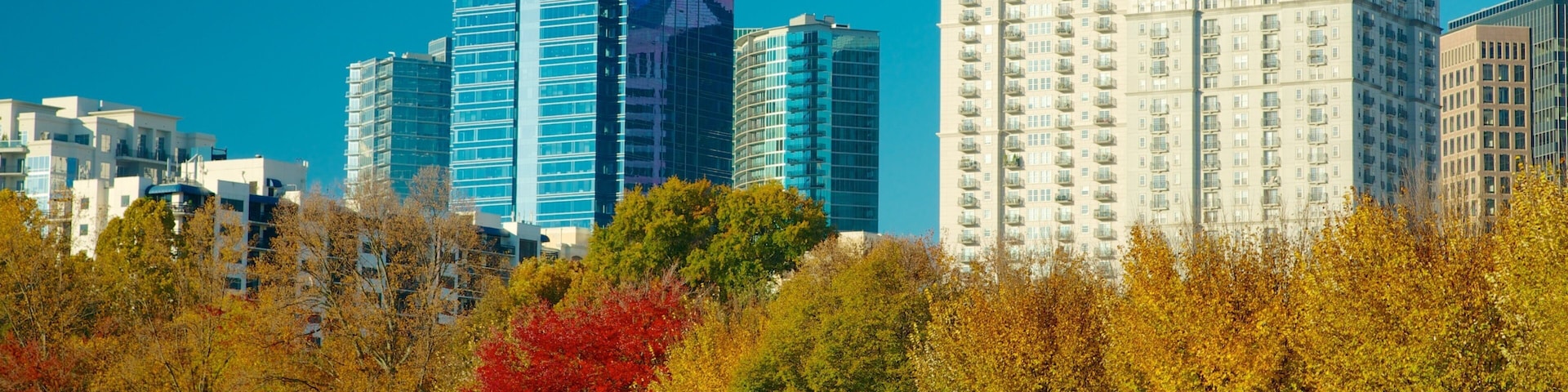 Piedmont Park mostrando um edifício, cores do outono e uma cidade