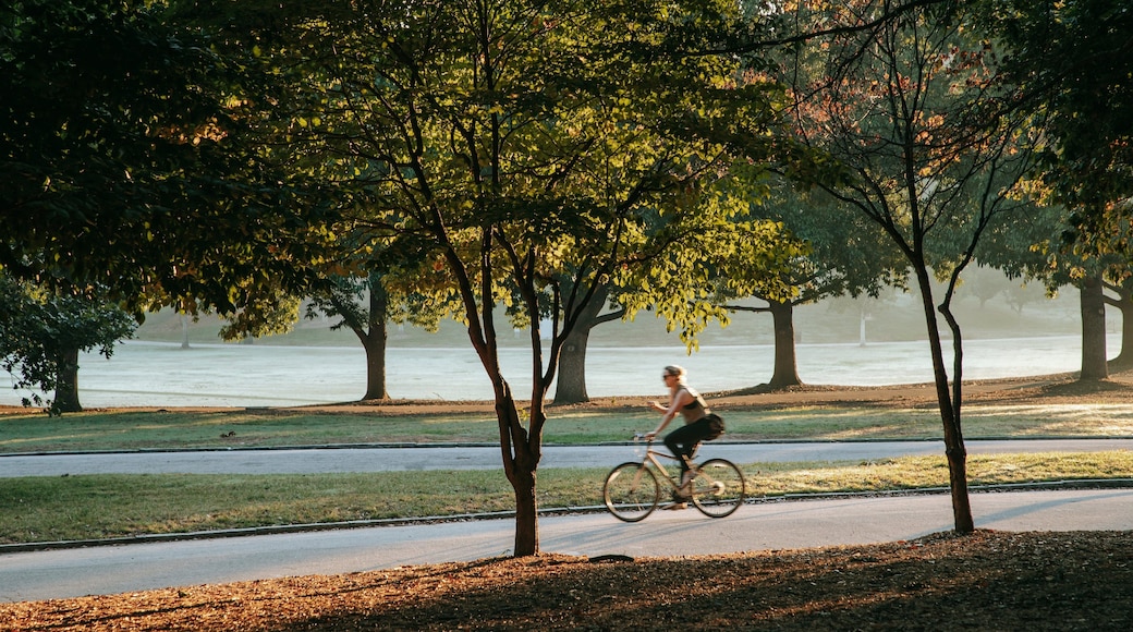 Piedmont Park featuring cycling and a garden as well as an individual femail