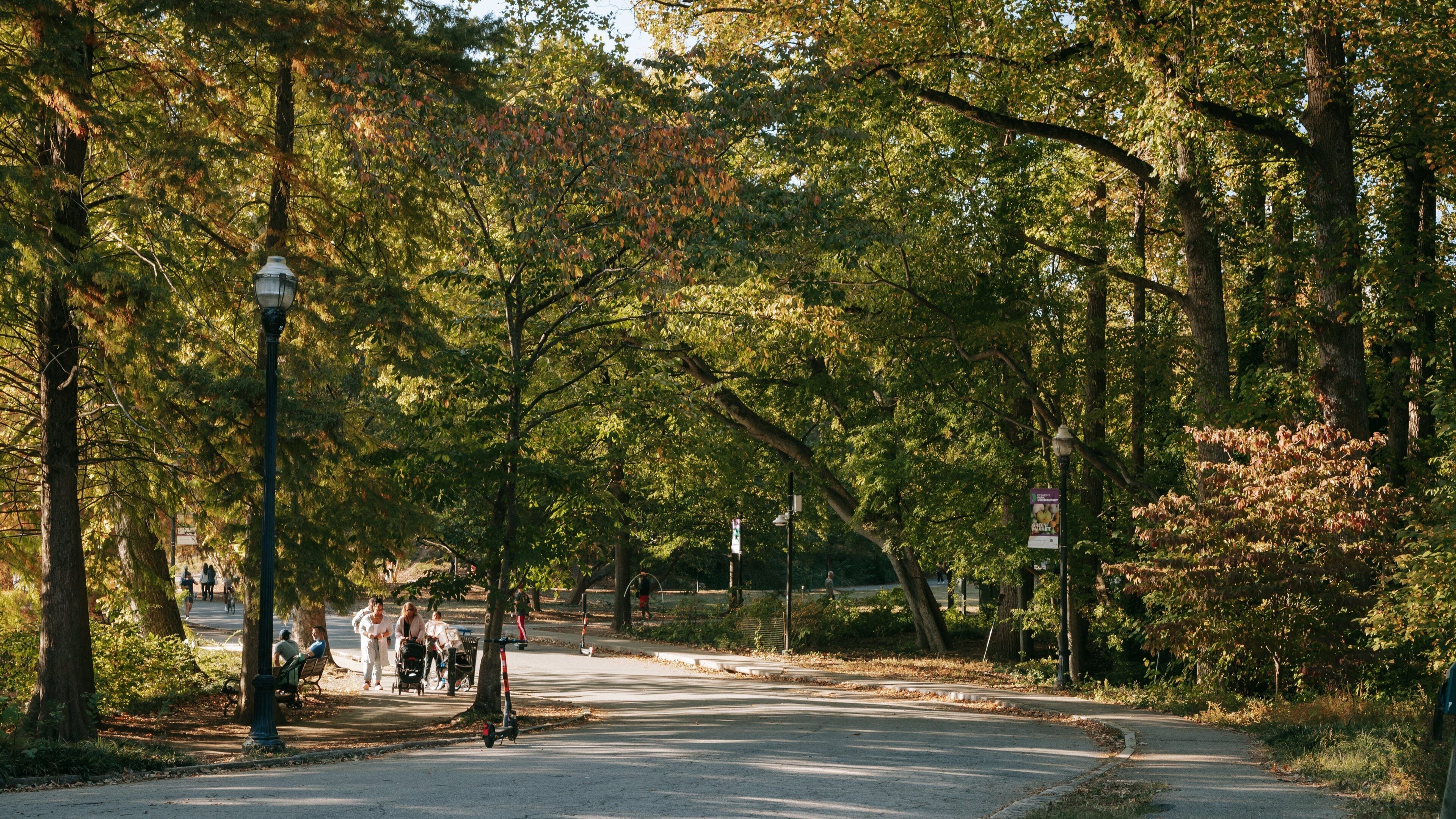 Piedmont Park showing a garden