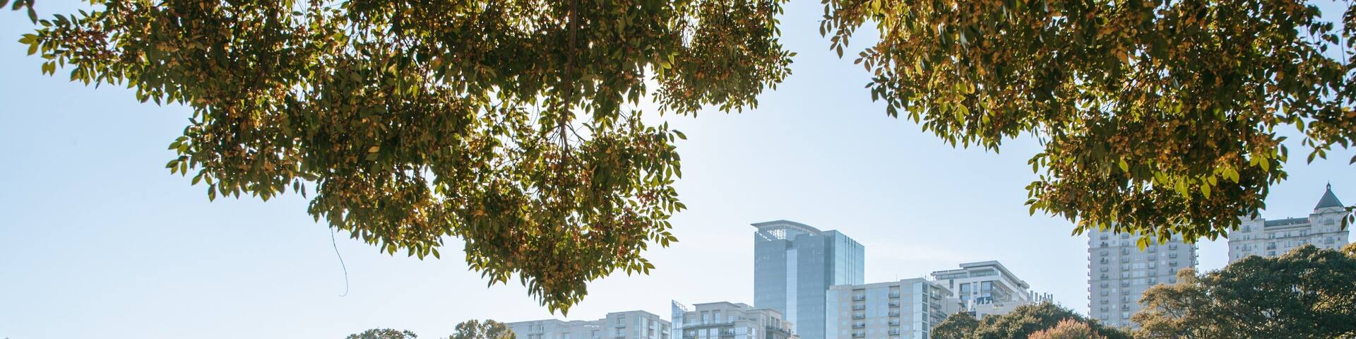 Piedmont Park as well as a small group of people