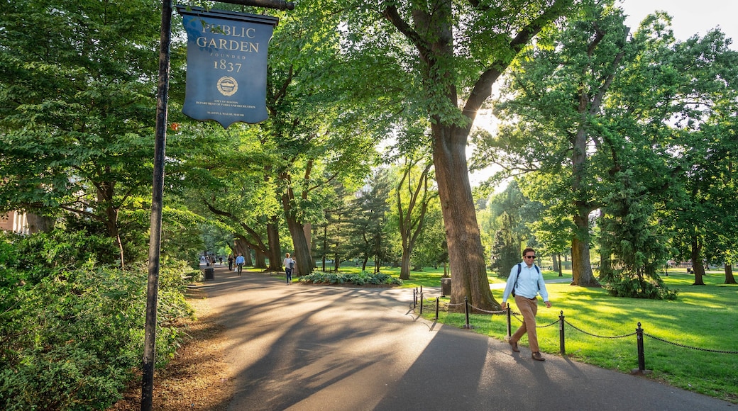 Boston Public Garden showing signage and a park as well as an individual male
