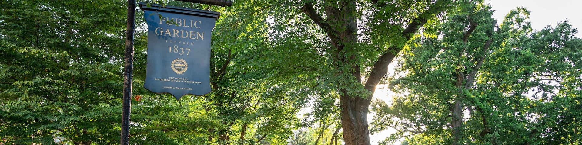 Boston Public Garden showing signage and a park as well as an individual male
