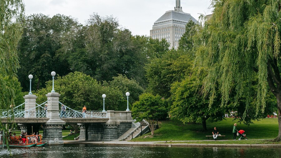 Boston Public Garden showing a river or creek and a garden