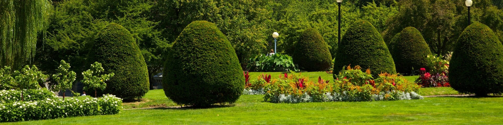 Boston Common showcases lush greenery and city skyline under a clear blue sky during a sunny day