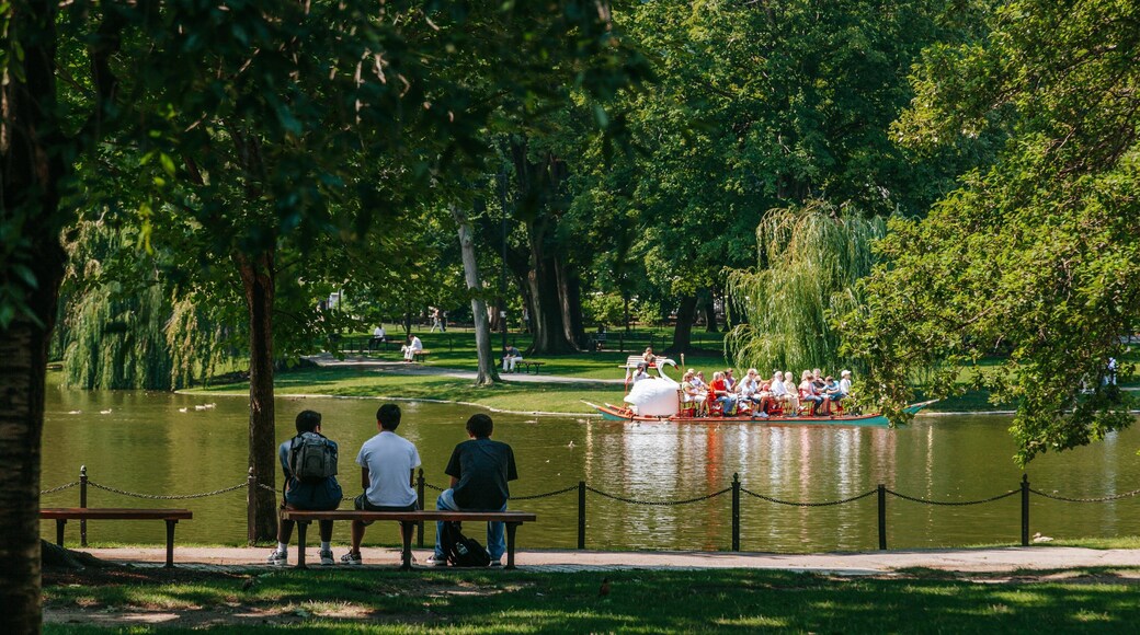 Boston Common featuring a garden and a pond as well as a small group of people