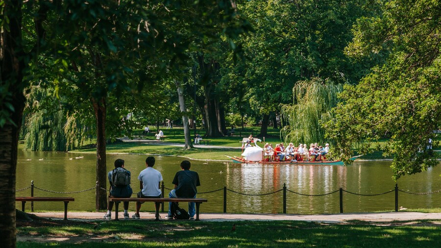 Boston Common featuring a garden and a pond as well as a small group of people