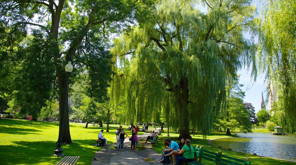 Vibrant summer afternoon at Boston Common with families enjoying nature in Massachusetts