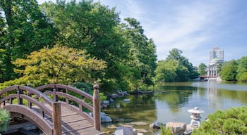 613-28 Japanese Island Jackson Park Chicago