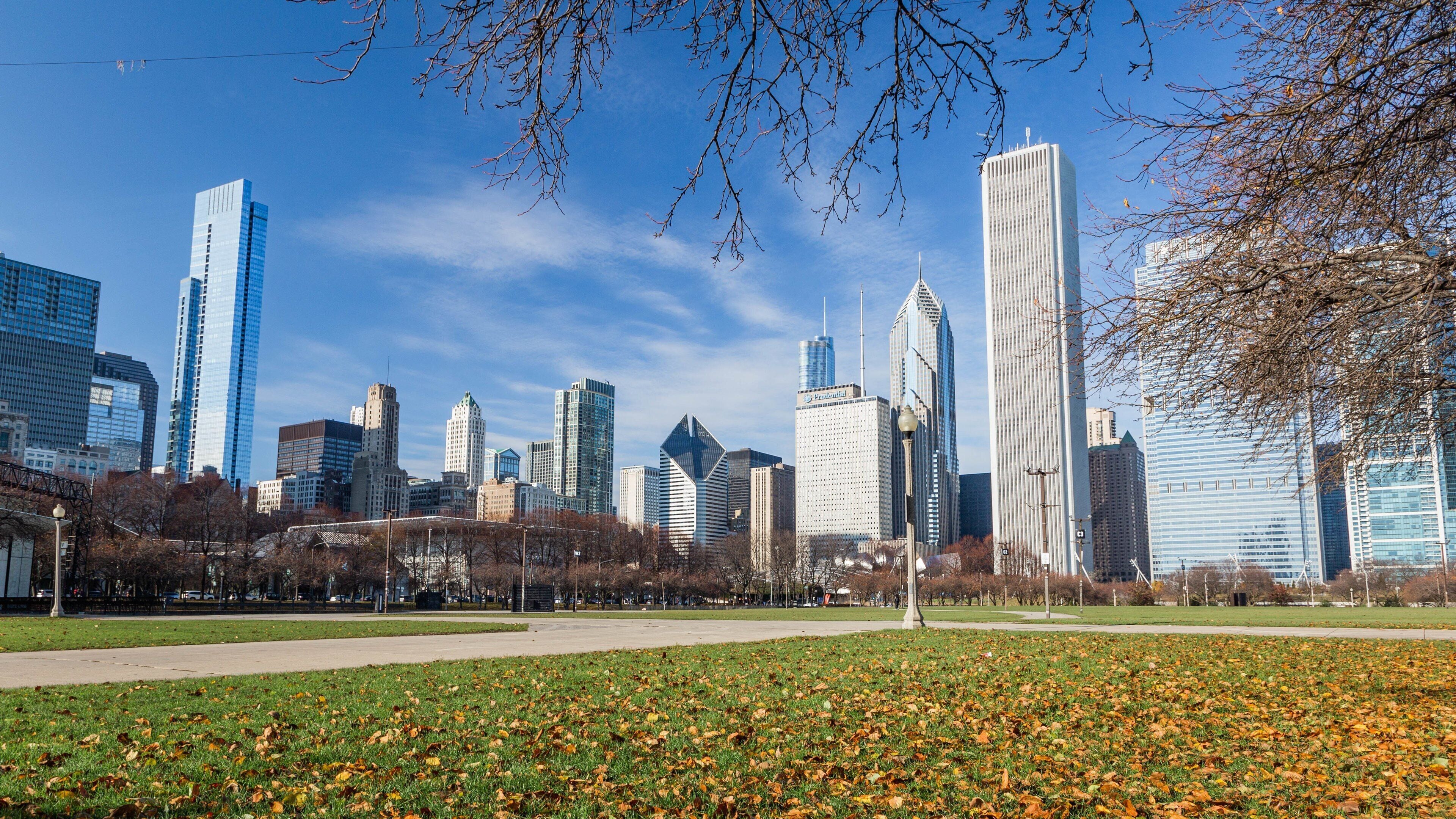 Eine Stadtsilhouette mit modernen Wolkenkratzern und einem Park mit herbstlaubbedecktem Boden.