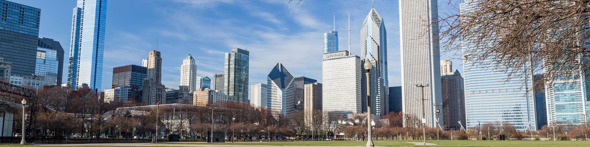 A city skyline with modern skyscrapers and a park with fallen leaves.