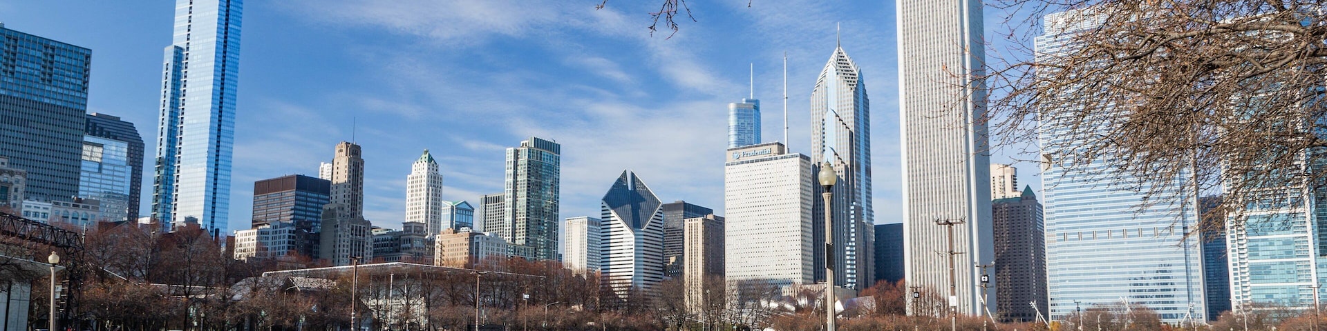 Un horizonte urbano con rascacielos modernos y un parque con hojas caídas.