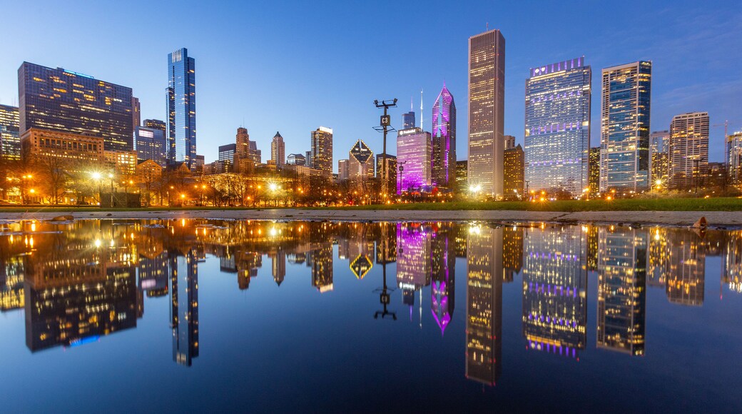 Grant Park showing a bay or harbor, night scenes and a city