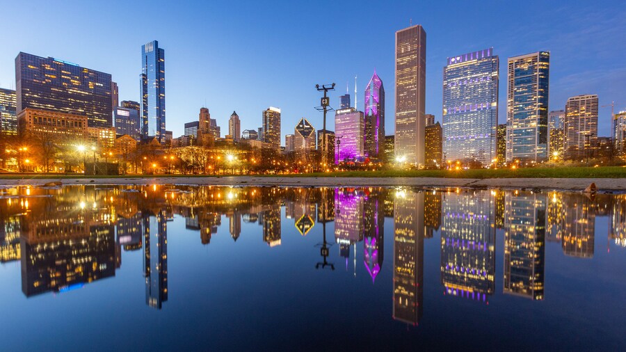 Grant Park showing a bay or harbor, night scenes and a city