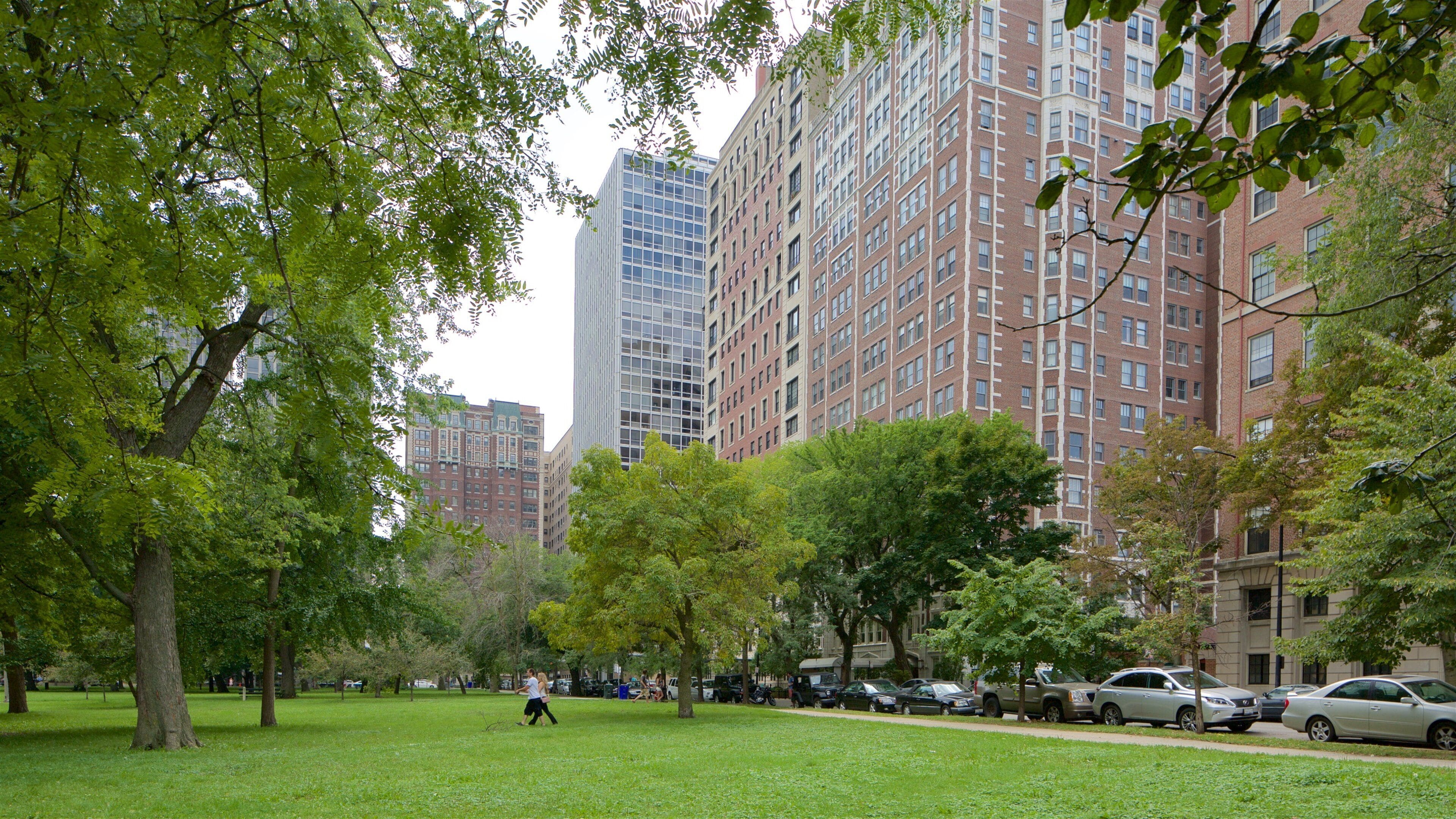 Lincoln Park inclusief een stad en een tuin
