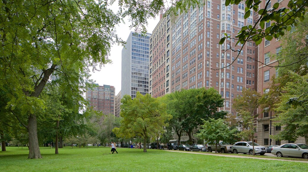 Lincoln Park inclusief een stad en een tuin