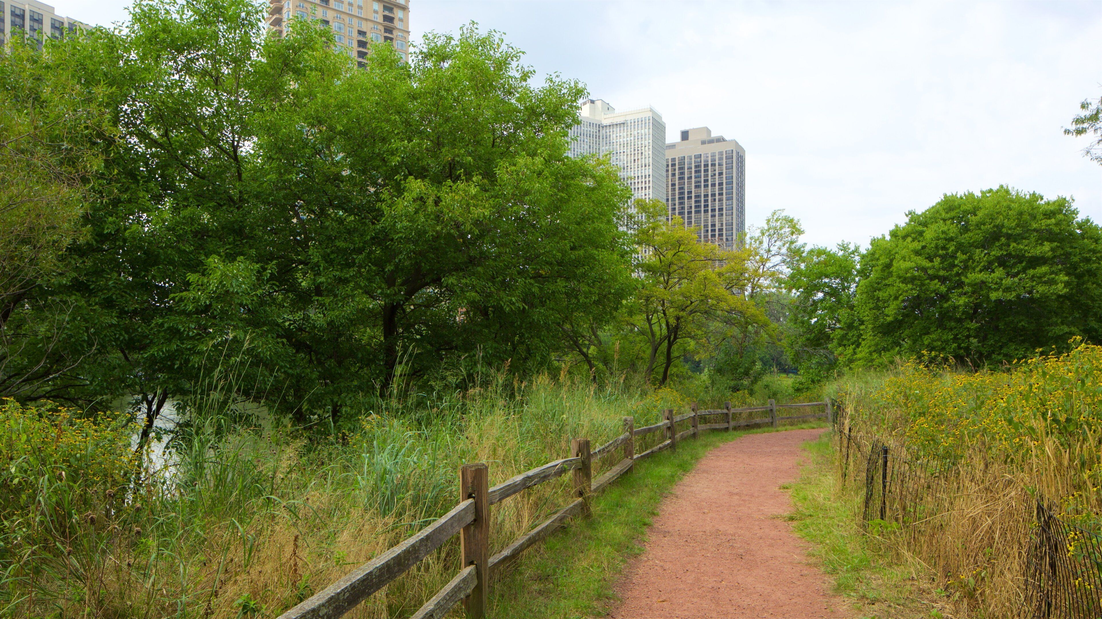 Lincoln Park showing a park
