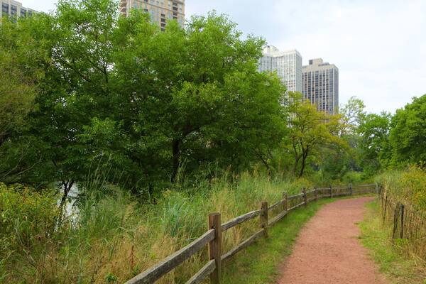 Lincoln Park showing a park