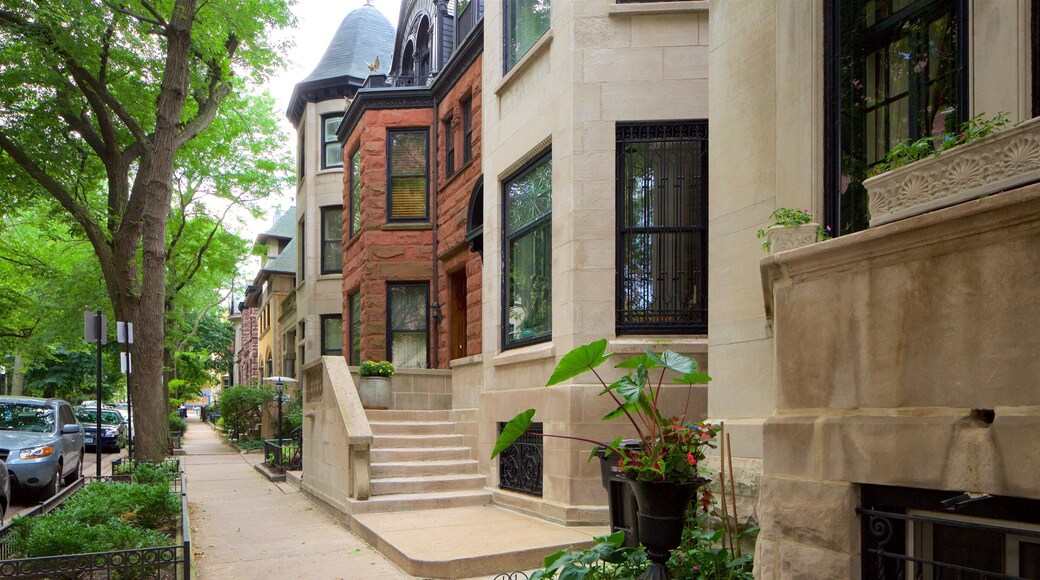 Lincoln Park toont historische architectuur en straten
