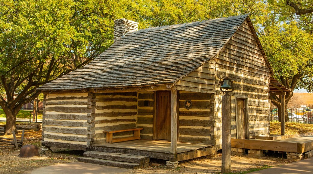 Dallas Heritage Village showing a small town or village and heritage elements