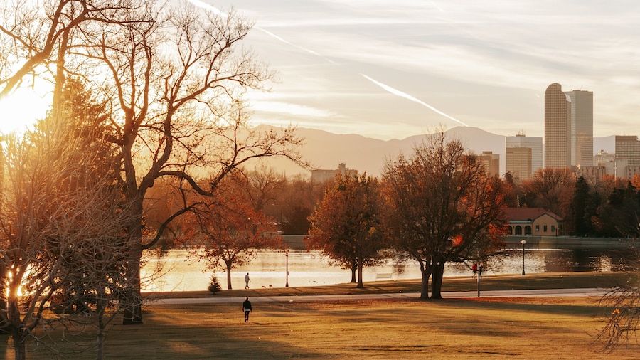 City Park showing a pond, a park and a sunset