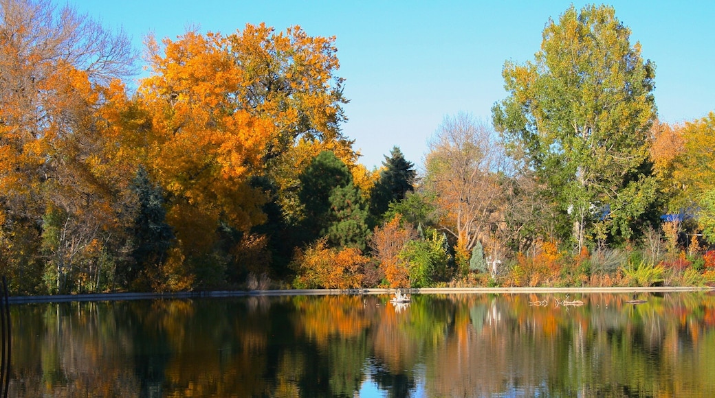 Scenic view of City Park in Denver, showcasing vibrant autumn colors and serene reflections on the water