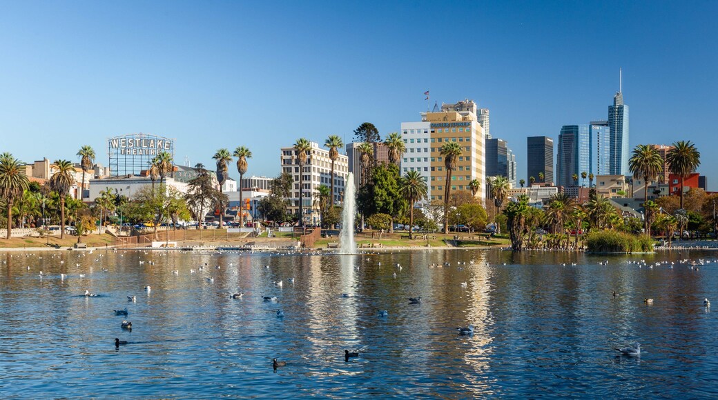 MacArthur Park showing a lake or waterhole and a fountain