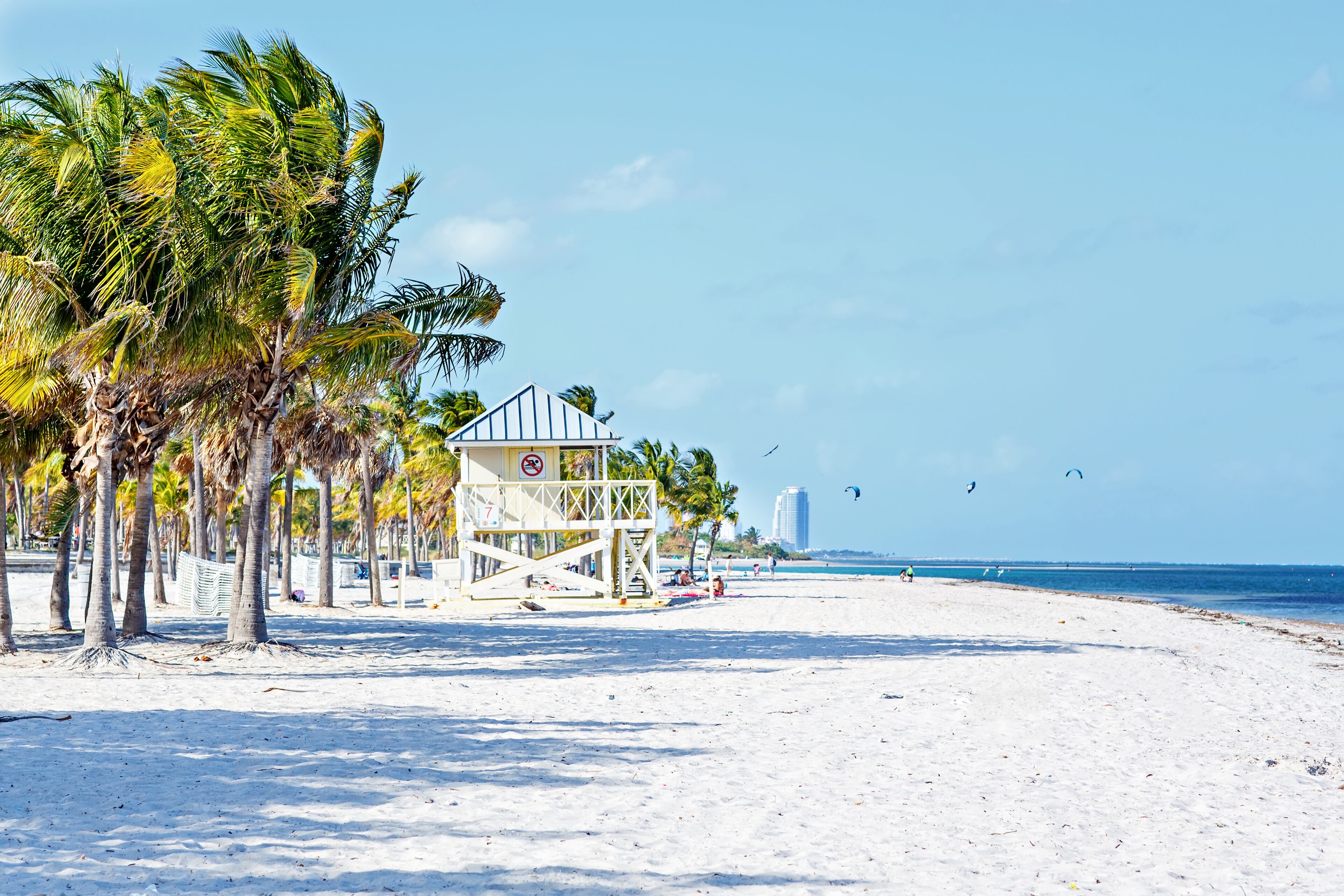 Beautiful Crandon Park Beach located in Key Biscayne in Miami, Florida, USA; Shutterstock ID 524207218