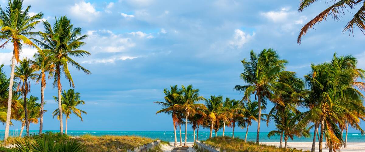 Wooden boardwalk in beautiful Crandon Park in Key Biscayne