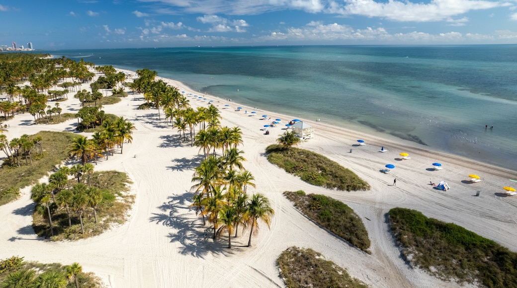 Aerial view of Crandon Park Beach in Key Biscayne on a sunny day in Miami, Florida