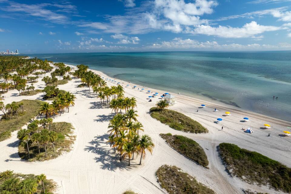 Een strand met palmbomen, parasols en een helderblauwe lucht.