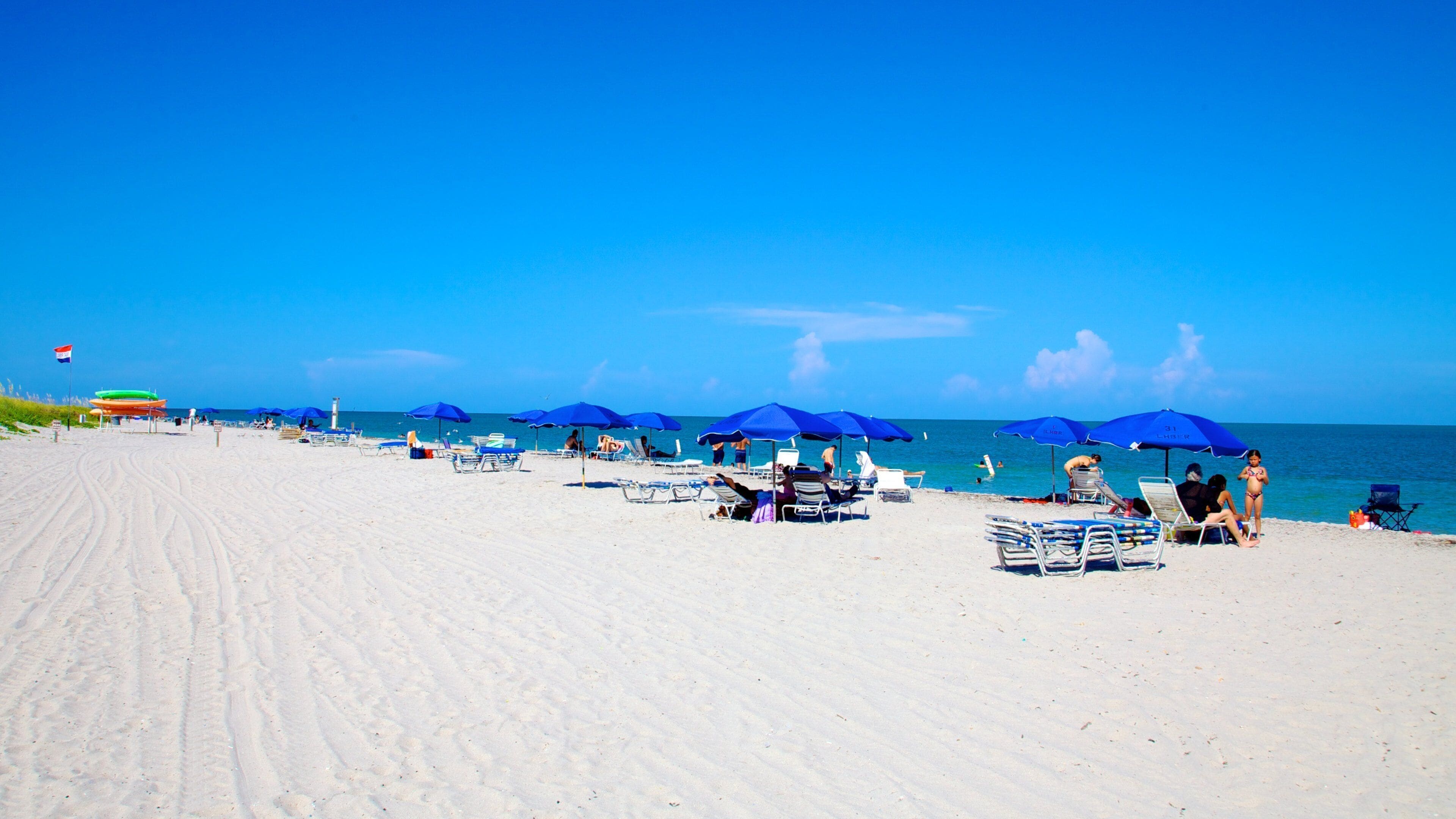 Bill Baggs Cape Florida State Park showing general coastal views and a beach