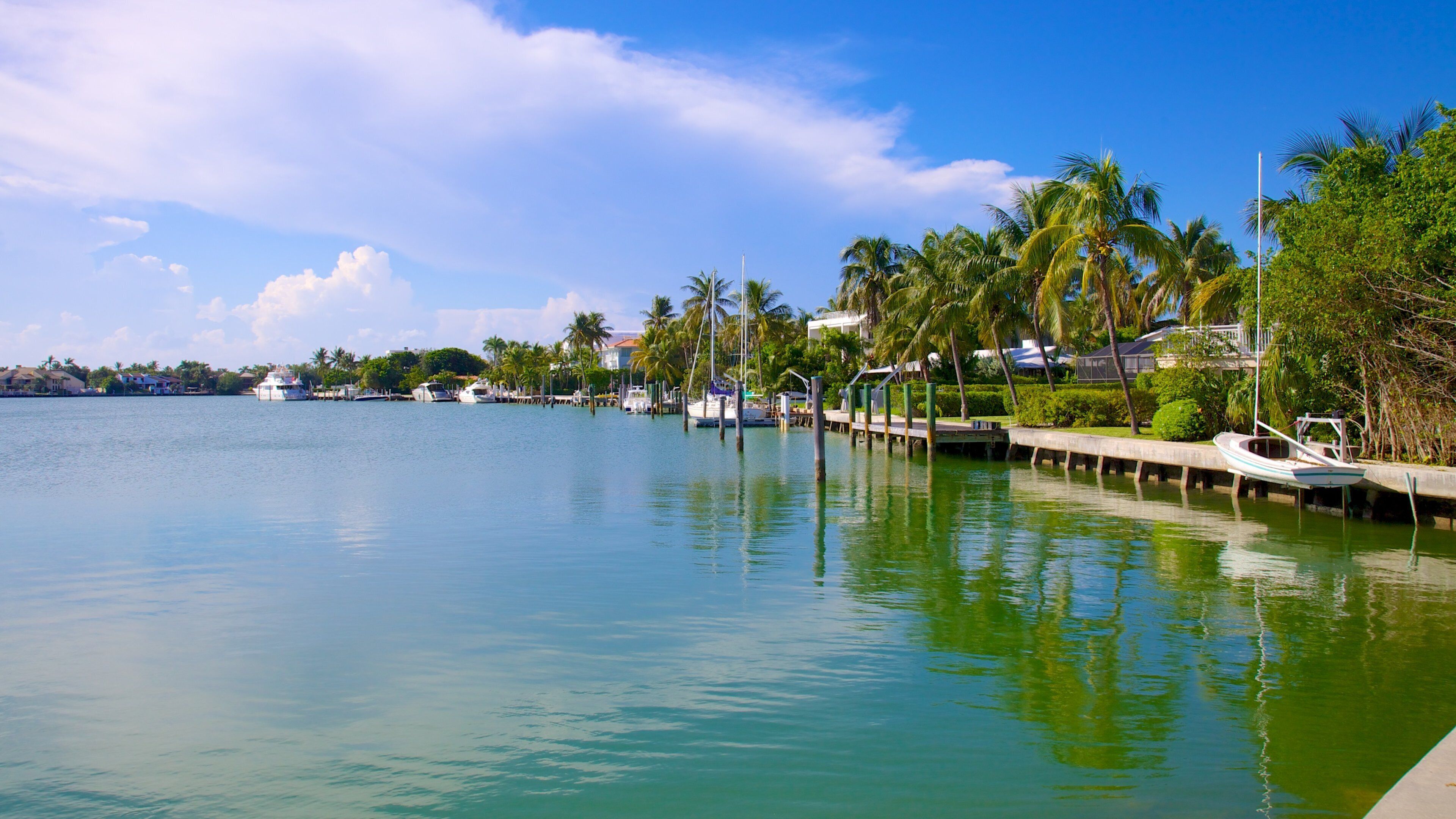Bill Baggs Cape Florida State Park showing a coastal town, tropical scenes and a bay or harbor