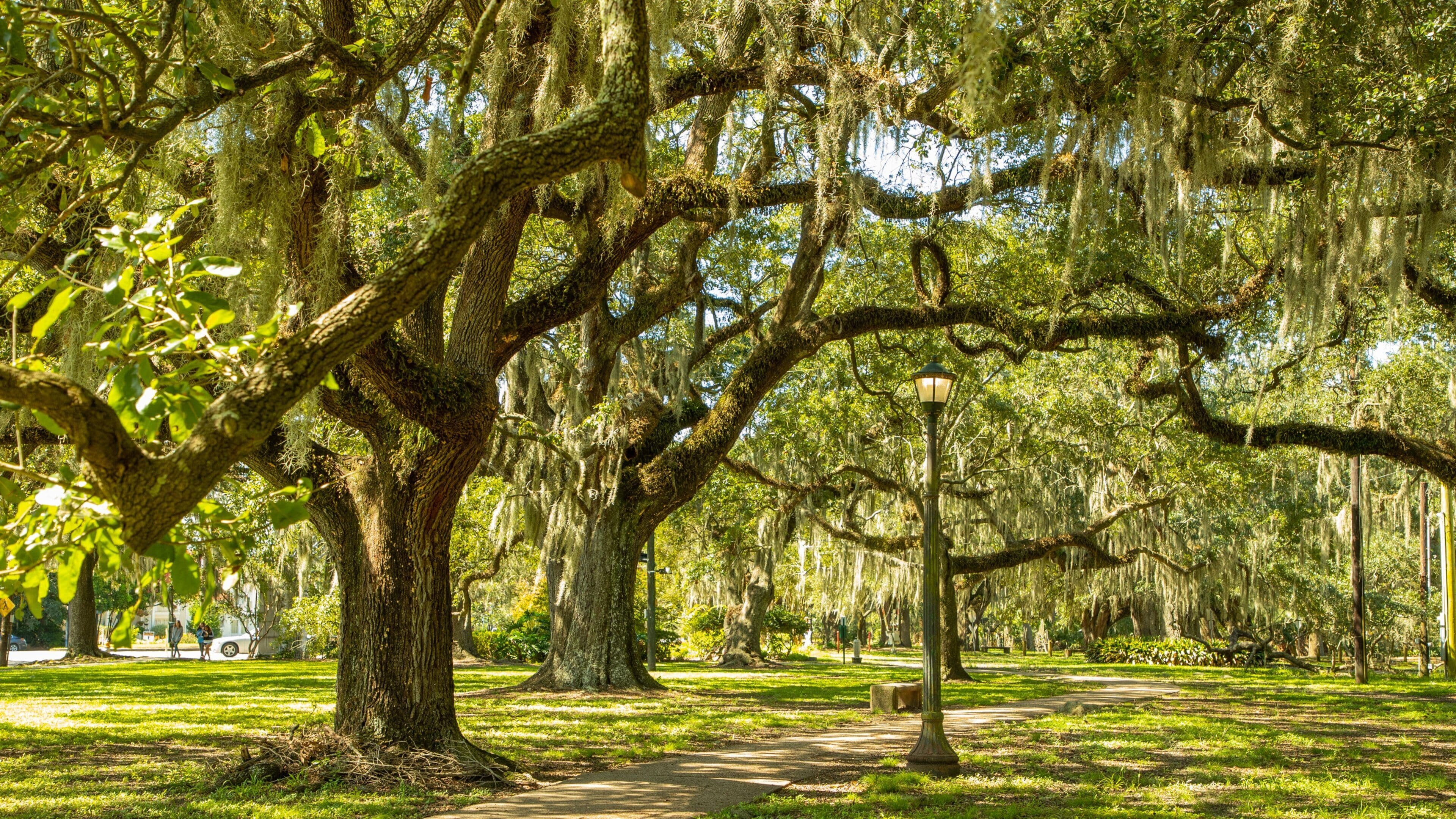 City Park which includes a park