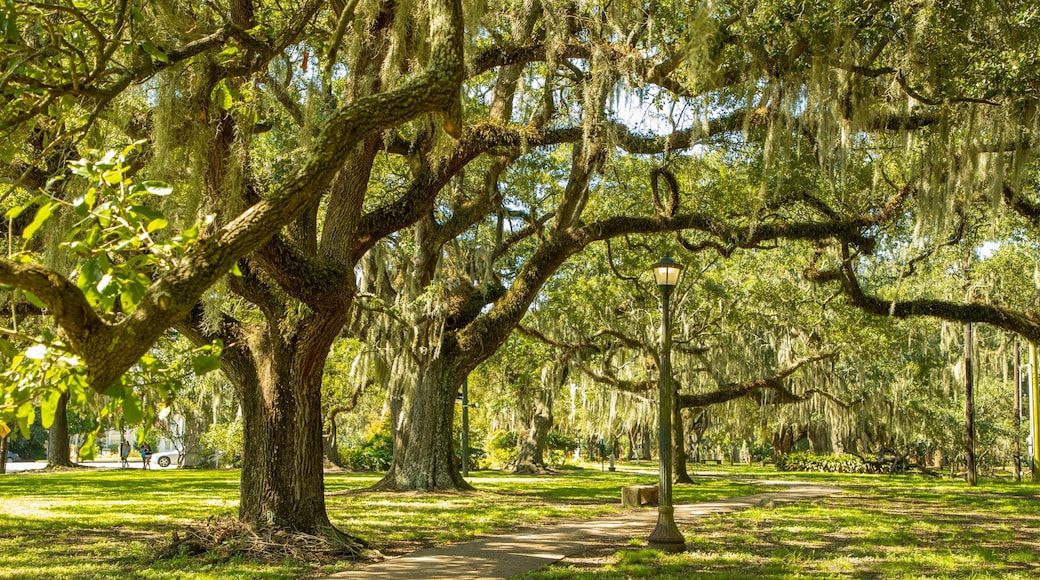 City Park which includes a park